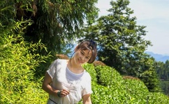 草馏社区2016年7月 最新地址